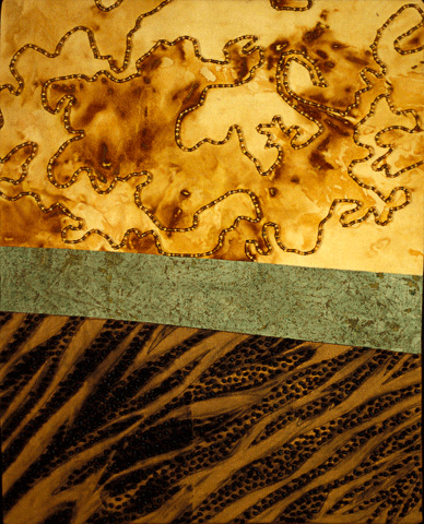 image of quilt titled "Patina" by Debi Harney © 2006