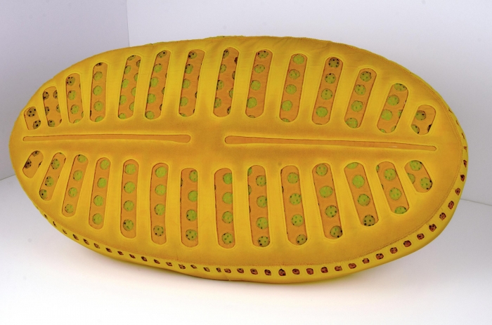 Diatom Fiber Sculpture by Carla Stehr
