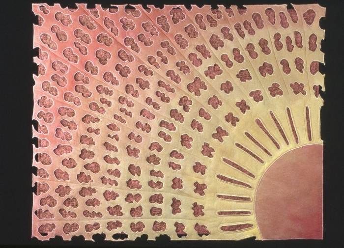Carla Stehr, CQA - Coscinodiscus