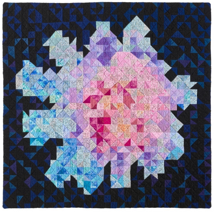 Calcium Chloride Crystal by Carolyn Maia Burton