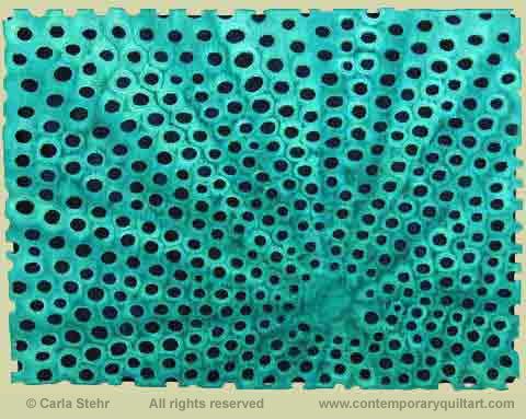 Carla Stehr - Diatom 2
