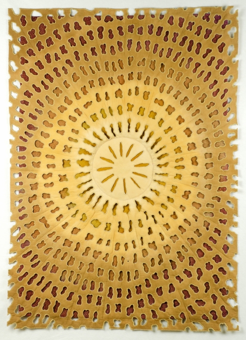 Diatom 10 by Carla Stehr